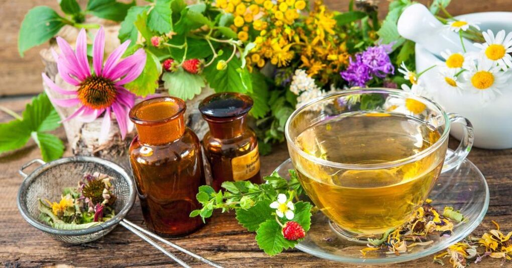 Bachadon bo'yni ostondondrozni davolash uchun o'tli infuziyalar